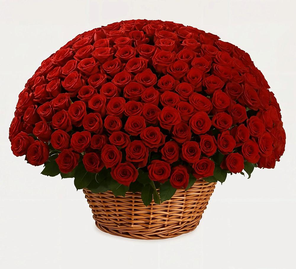 251 Премиум красная роза в Нижневартовске Премиум букет из: Розы в Нижневартовске