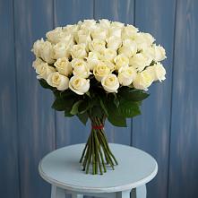 51 Белая роза Эдлесс Лав #REPLACE_PRED# Нижневартовске Букет 51 Белая роза Эдлесс Лав #REPLACE_PRED# Нижневартовске